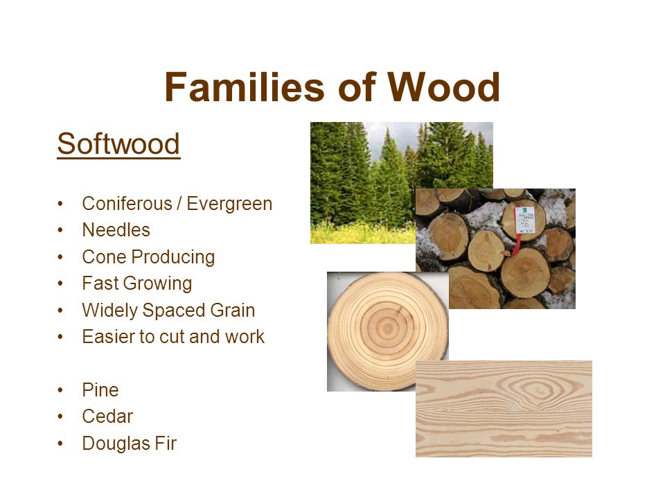 Families of Wood Softwood Coniferous / Evergreen Needles Cone Producing Fast Growing Widely Spaced Grain Easier to cut and work Pine Cedar Douglas Fir