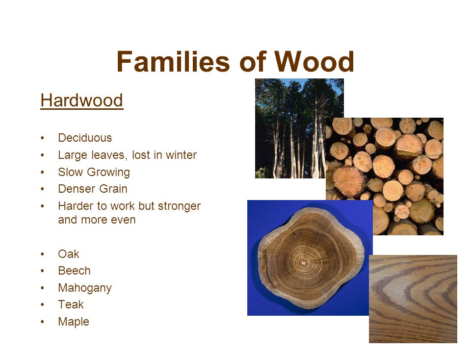 Families of Wood Hardwood Deciduous Large leaves, lost in winter Slow Growing Denser Grain Harder to work but stronger and more even Oak Beech Mahogany Teak Maple