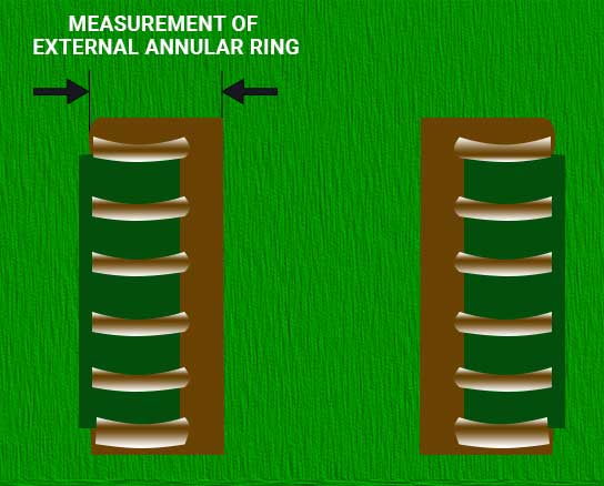 Measurement of external annular ring