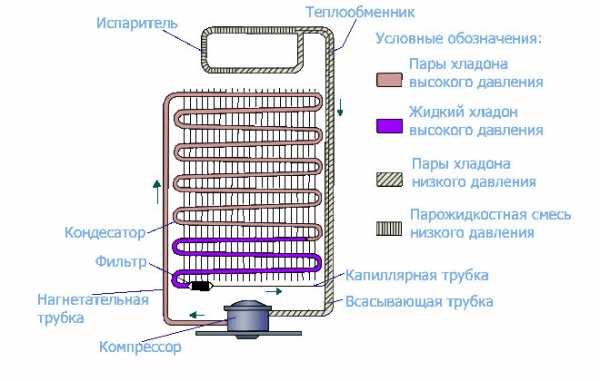Электросхема холодильного шкафа ариада